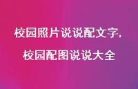 校园配图说说大全(100句) 校园配图说说大全(100句)