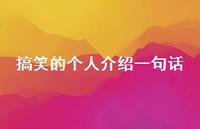 搞笑的个人介绍一句话69句汇总