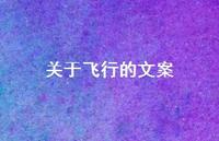 关于飞行的文案【100句精选短句合集】 关于飞行的文案【100句精选短句合集】