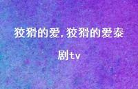 狡猾的爱泰剧tv【精品文案100句】