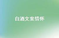 白酒文案情怀【100句精选短句合集】 白酒文案情怀【100句精选短句合集】