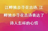 江畔独步寻花古诗表达了诗人怎样的心情【精品文案100句】