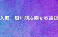 入职一周年朋友圈文案简短【100句精选短句合集】