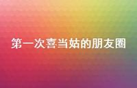 一次喜当姑的朋友圈【100句精选短句合集】 一次喜当姑的朋友圈【100句精选短句合集】