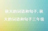 秋天的词语和句子三年级【100句文案精选】