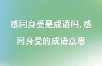 感同身受的成语意思(100句) 感同身受的成语意思(100句)