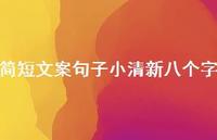 简短文案句子小清新八个字70句汇总