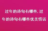 过年的诗句有哪些优美情话【精品文案100句】