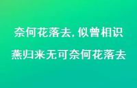 似曾相识燕归来无可奈何花落去【100句文案精选】