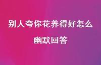 别人夸你花养得好怎么幽默回答【100句精选短句合集】