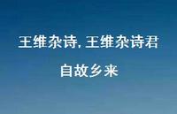 王维杂诗君自故乡来【100句文案精选】
