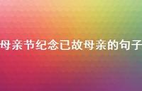 母亲节纪念已故母亲的句子【100句精选短句合集】