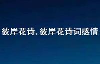彼岸花诗词感情【100句文案精选】