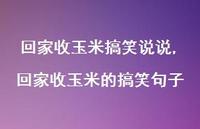 回家收玉米的搞笑句子(100句)