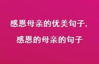 感恩的母亲的句子【精品文案100句】