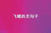 飞蛾的美句子(精选39句) 飞蛾的美句子(精选39句)