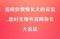 愿时光慢些我陪你长大说说(100句)