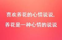 养花是一种心情的说说(100句) 养花是一种心情的说说(100句)