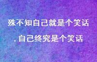 自己终究是个笑话(100句)