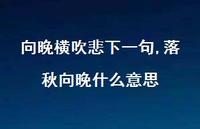 落秋向晚什么意思【精品文案100句】
