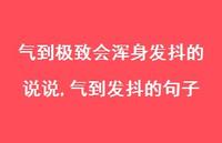 气到发抖的句子【100句文案】
