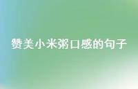 赞美小米粥口感的句子【100句精选短句合集】