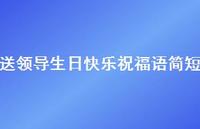 送领导生日快乐祝福语简短合集49句精选
