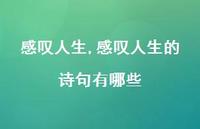 感叹人生的诗句有哪些【100句文案精选】