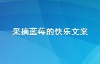 采摘蓝莓的快乐文案【100句精选短句合集】 采摘蓝莓的快乐文案【100句精选短句合集】