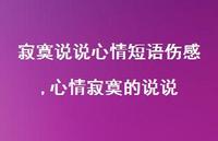 心情寂寞的说说【精选100句】 心情寂寞的说说【精选100句】