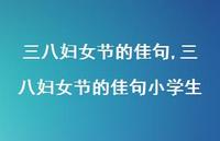 三八妇女节的佳句小学生【100句文案精选】