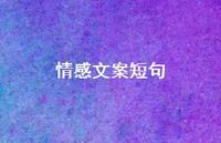 情感文案短句(精选44句) 情感文案短句(精选44句)