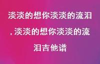 淡淡的想你淡淡的流泪吉他谱【精品文案100句】