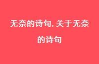 关于无奈的诗句【精品文案100句】 关于无奈的诗句【精品文案100句】