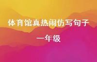 体育馆真热闹仿写句子一年级【100句精选短句合集】