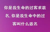 你是我生命中的过客叫什么歌名【精选100句】 你是我生命中的过客叫什么歌名【精选100句】