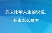 芥末怎么形容(100句)
