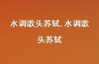 水调歌头苏轼【100句文案精选】 水调歌头苏轼【100句文案精选】