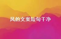 风的文案短句干净【100句精选短句合集】