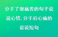 分手后心痛的说说短句(100句)