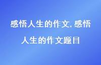 感悟人生的作文题目【100句文案精选】