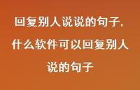什么软件可以回复别人说的句子(100句)