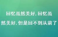 回忆虽然美好,但是回不到从前了(65句) 回忆虽然美好,但是回不到从前了(65句)