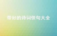带好的诗词佳句大全(精选56句)