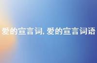 爱的宣言词语【精品文案100句】