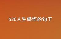 520人生感悟的句子【100句精选短句合集】
