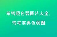 驾考宝典色弱图(100句)