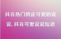 抖音可爱说说短语(100句) 抖音可爱说说短语(100句)