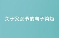 关于父亲节的句子简短55句汇总