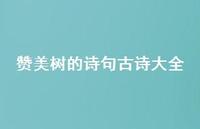 赞美树的诗句古诗大全(精选65句) 赞美树的诗句古诗大全(精选65句)
